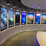 бэклит постеры