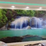 фотообои природа